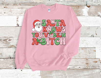 Santa Knows you been a Bitch Christmas Sweatshirt (HTV)