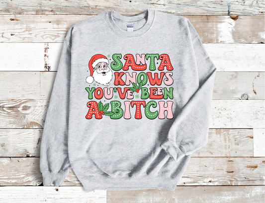Santa Knows you been a Bitch Christmas Sweatshirt (HTV)