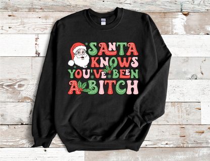 Santa Knows you been a Bitch Christmas Sweatshirt (HTV)
